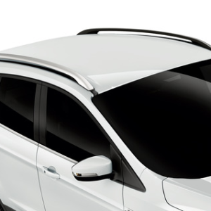 Strešni nosilci srebrni